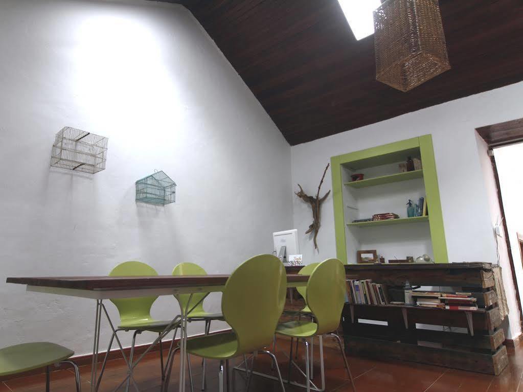 La Papaya - Eco - Yoga - Hiking - Hostel Agaete Kültér fotó